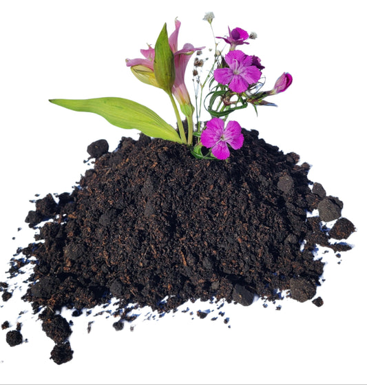 How to Use Vermicompost: Simple, Effective Ways to Grow Better Plants