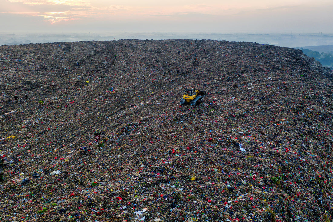 Beyond the Bin...What happens to Food Waste?