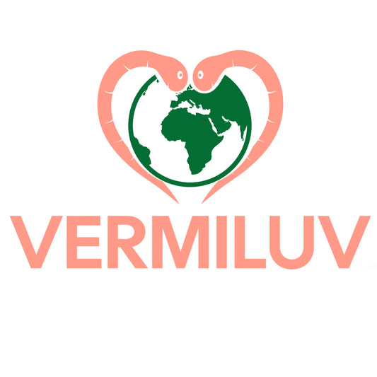 Who is VERMILUV?